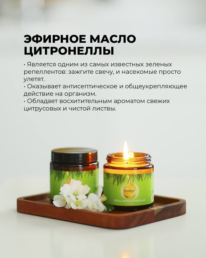 День рождения гринвей